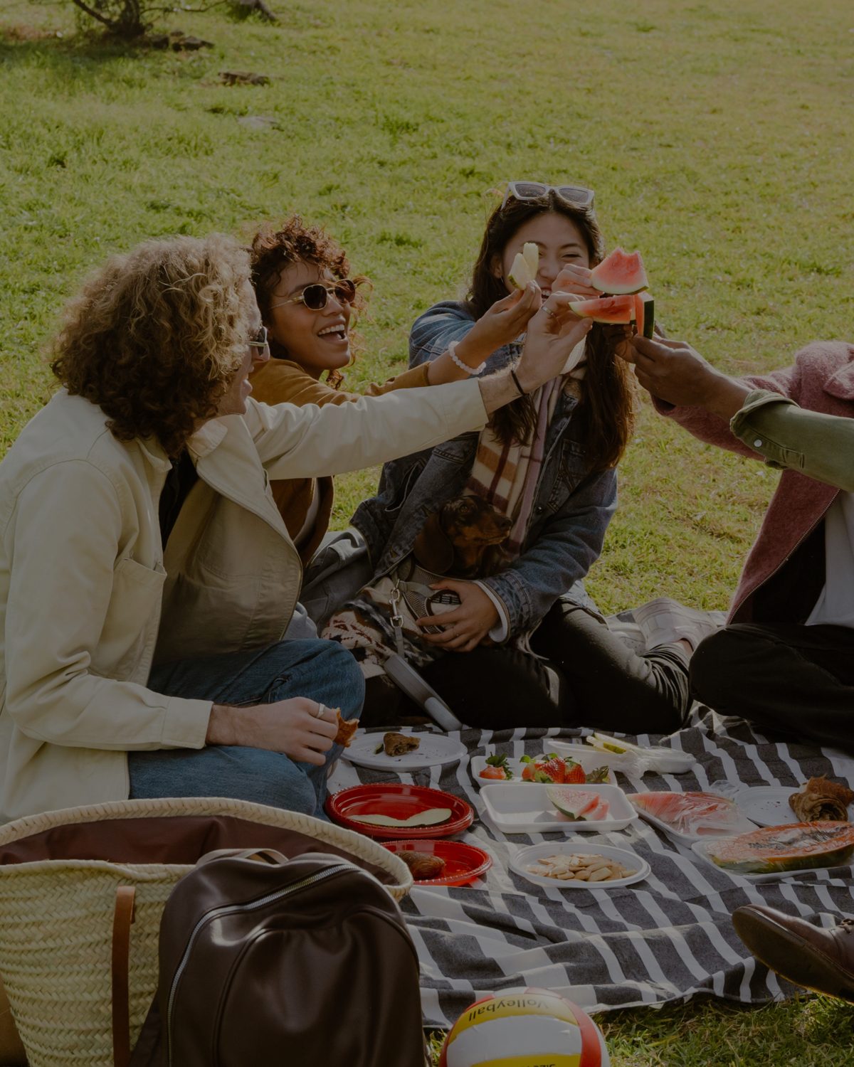Friends having a picnic in the park